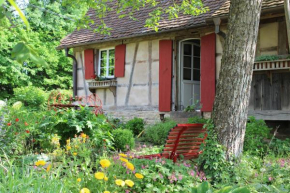 Rouge Eglantine